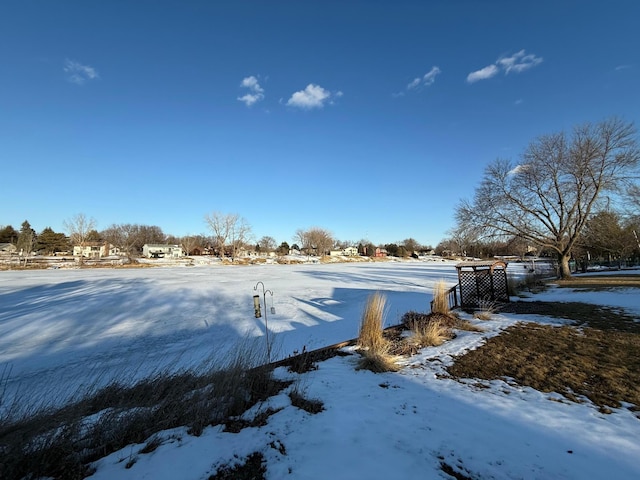 view of yard layered in snow