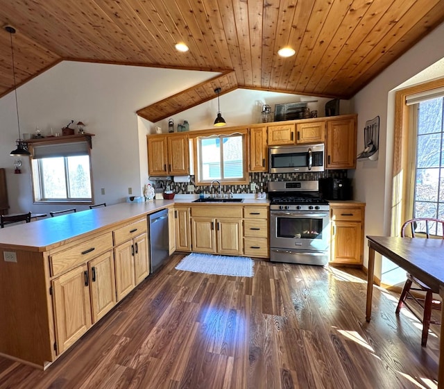 kitchen featuring a sink, a peninsula, lofted ceiling, and stainless steel appliances