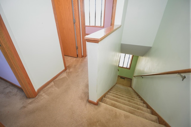 4826 Elm Dr N Unit 7, Hugo, MN 55038 - photo 23