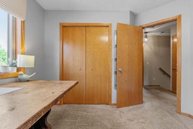 office featuring baseboards, a textured ceiling, and carpet