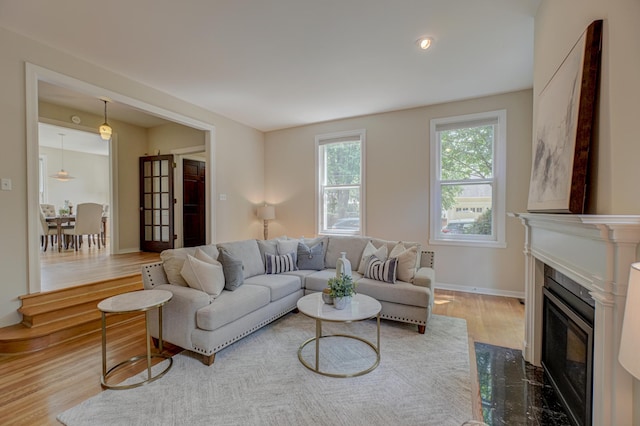 355 Laurel Ave, Saint Paul, MN 55102 - living room featuring wood finished floors and a fireplace