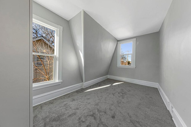 empty room featuring lofted ceiling, carpet, and baseboards