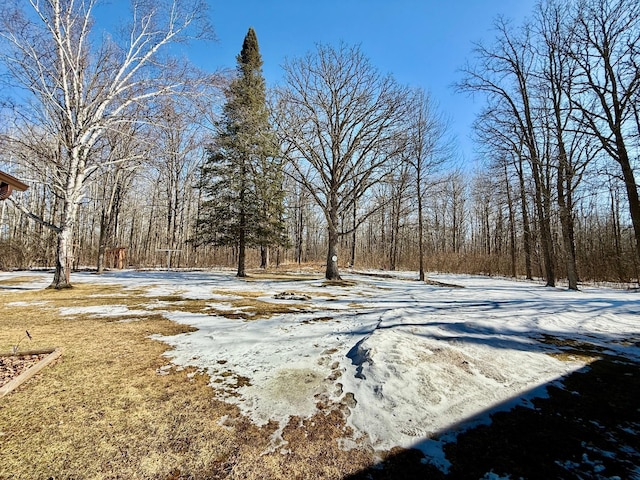 view of snowy yard