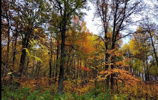 view of nature featuring a view of trees