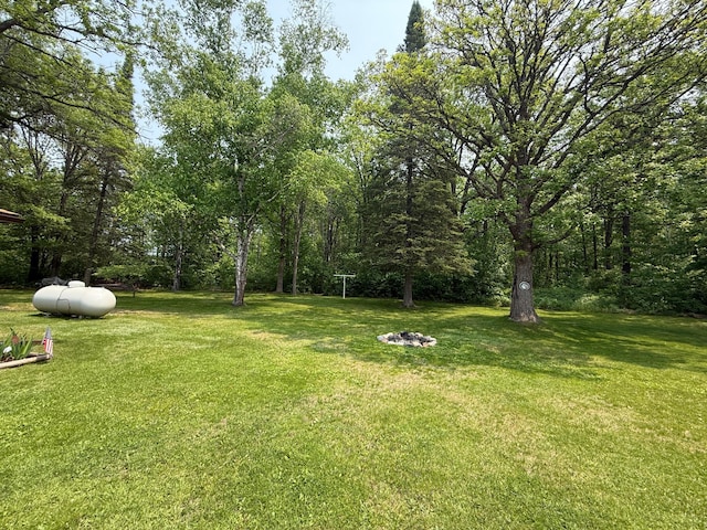 45936 State Highway 65, Mcgregor, MN 55760 - view of grassy yard