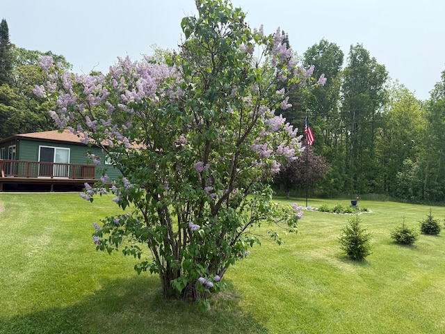 45936 State Highway 65, Mcgregor, MN 55760 - view of green lawn featuring a deck