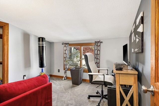 office space featuring carpet flooring, baseboards, and a textured ceiling