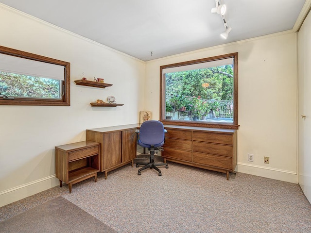 857 Fairmount Ave, Saint Paul, MN 55105 - office featuring crown molding and rail lighting