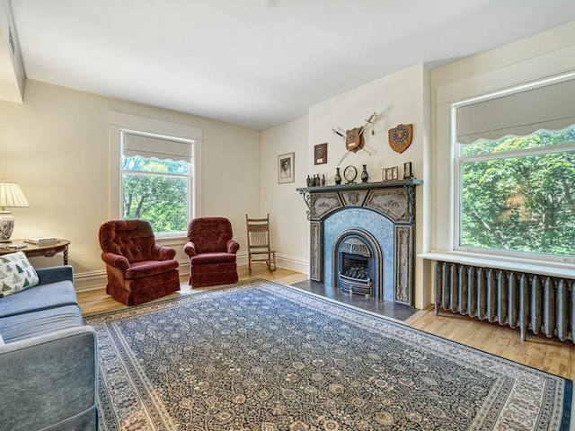 857 Fairmount Ave, Saint Paul, MN 55105 - living area featuring radiator, wood finished floors, and a fireplace