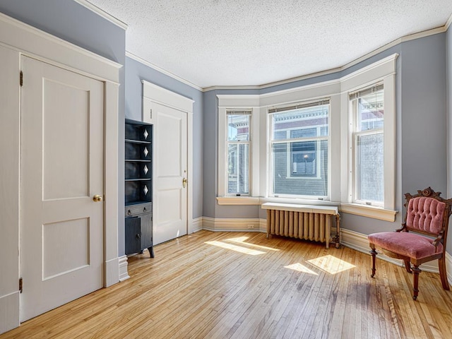 857 Fairmount Ave, Saint Paul, MN 55105 - living area featuring radiator, light wood-style flooring, ornamental molding, and a textured ceiling