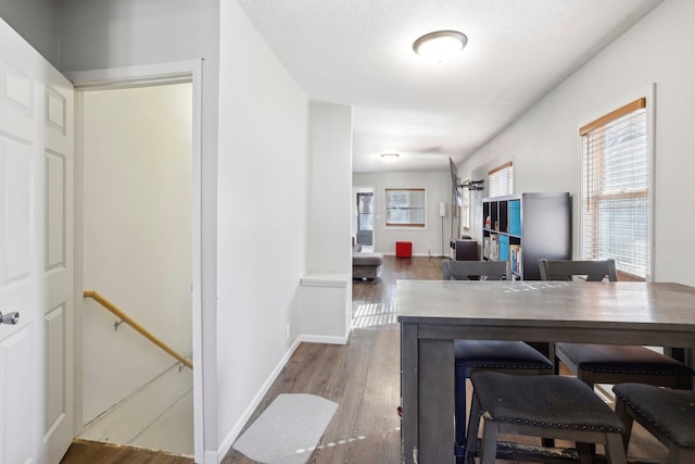 interior space with baseboards, plenty of natural light, and wood finished floors