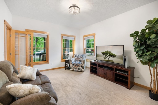 11050 Sweetwater Path, Woodbury, MN 55129 - living room featuring carpet floors, baseboards, and a textured ceiling