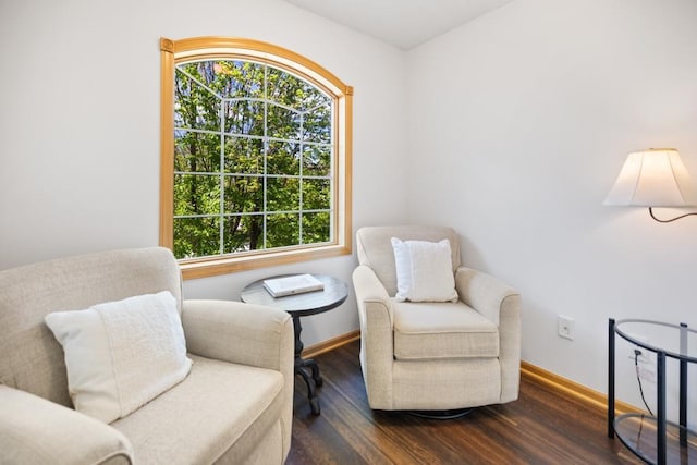 11050 Sweetwater Path, Woodbury, MN 55129 - sitting room featuring healthy amount of natural light, wood finished floors, and baseboards