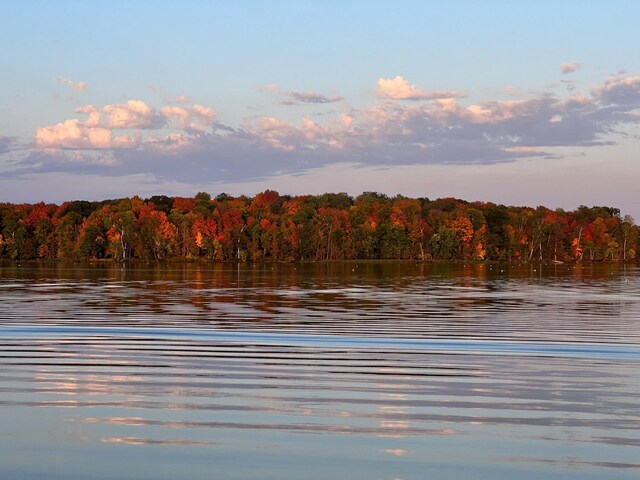 water view with a wooded view