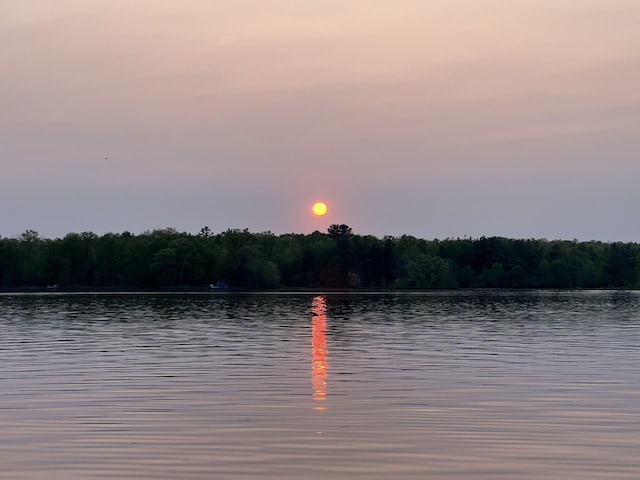 water view featuring a wooded view