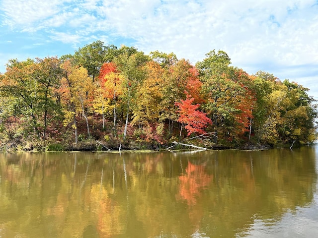 water view with a view of trees