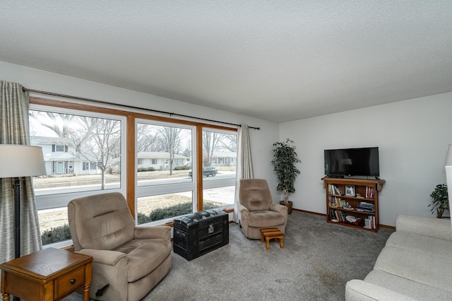 carpeted living room featuring baseboards and a textured ceiling