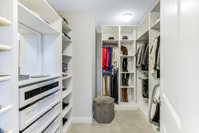 spacious closet with carpet floors