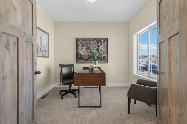 2080 151st Ave NW, Andover, MN 55304 - home office with carpet flooring and baseboards