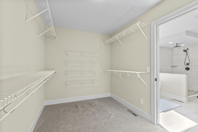 2080 151st Ave NW, Andover, MN 55304 - walk in closet with carpet floors
