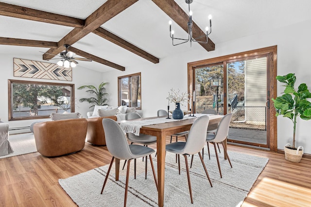 dining room with lofted ceiling with beams, plenty of natural light, light wood-style flooring, and ceiling fan with notable chandelier