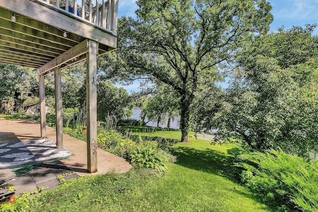 view of yard with a patio area