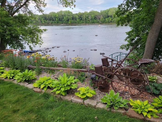 property view of water featuring a wooded view