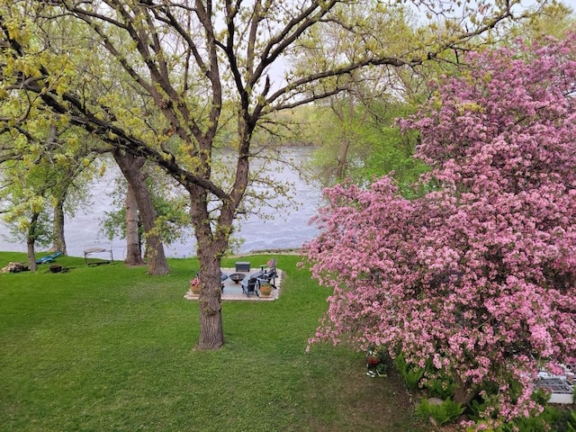 view of yard featuring a patio area and a water view