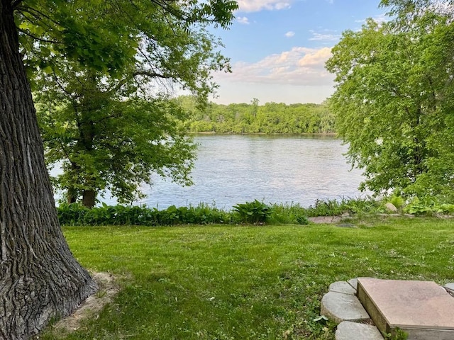 344 Riverside Ave S, Sartell, MN 56377 - water view featuring a heavily wooded area