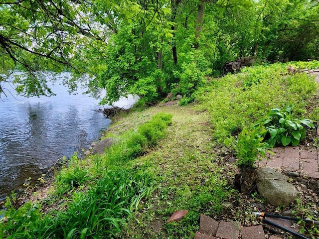 344 Riverside Ave S, Sartell, MN 56377 - water view