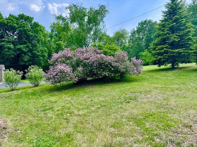 344 Riverside Ave S, Sartell, MN 56377 - view of green lawn