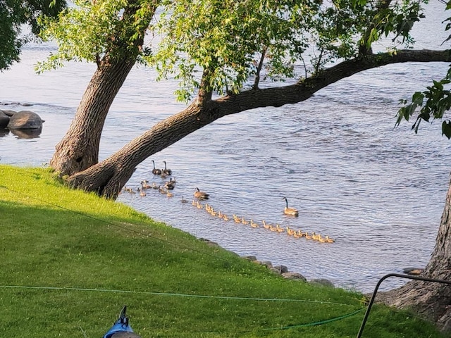 344 Riverside Ave S, Sartell, MN 56377 - water view