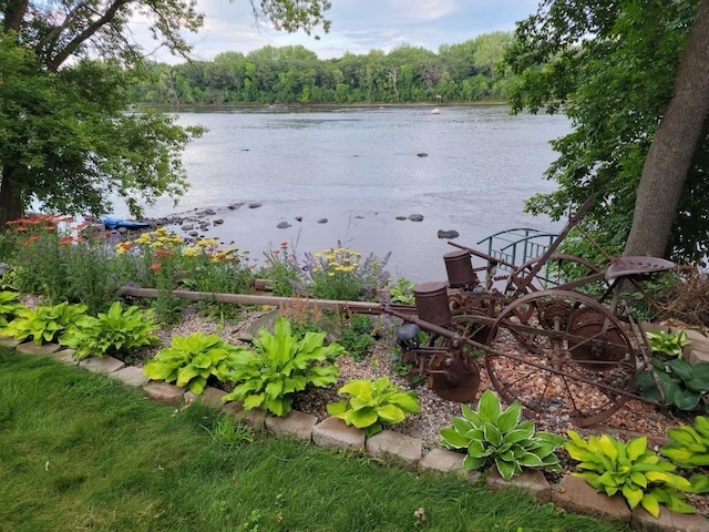 344 Riverside Ave S, Sartell, MN 56377 - water view featuring a forest