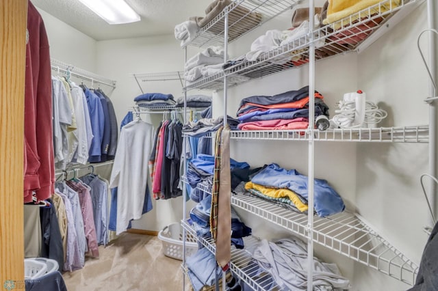 spacious closet featuring carpet floors