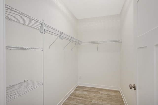 spacious closet with light wood-style floors