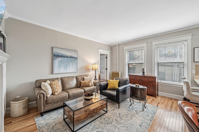 living room featuring light wood-type flooring, baseboards, and crown molding