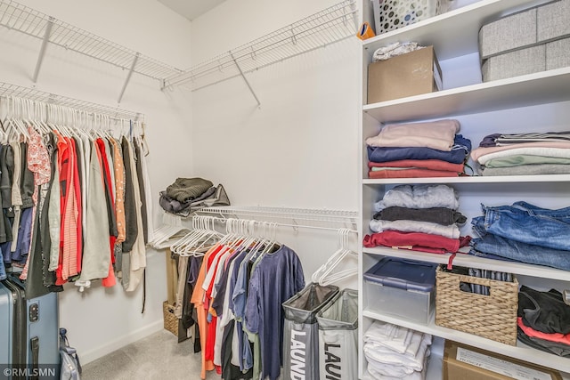 walk in closet featuring carpet floors