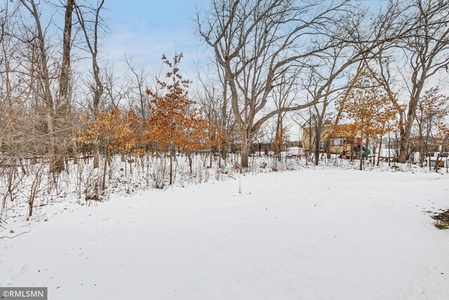 view of yard covered in snow