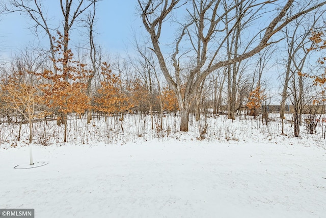 view of yard covered in snow