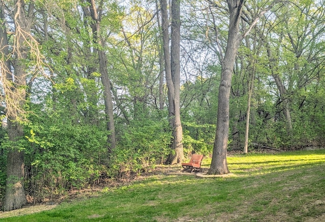 71 Deer Hills Ct, North Oaks, MN 55127 - view of green lawn with a view of trees
