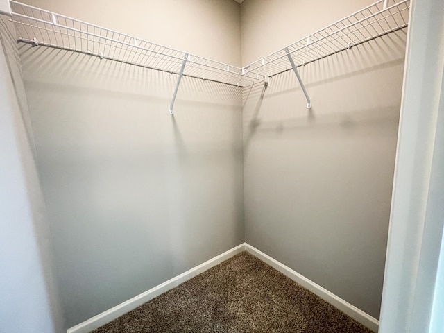 spacious closet featuring dark colored carpet