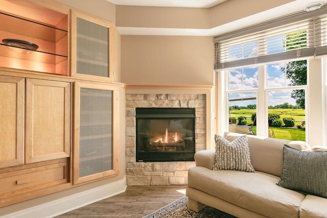 living area featuring a stone fireplace and wood finished floors