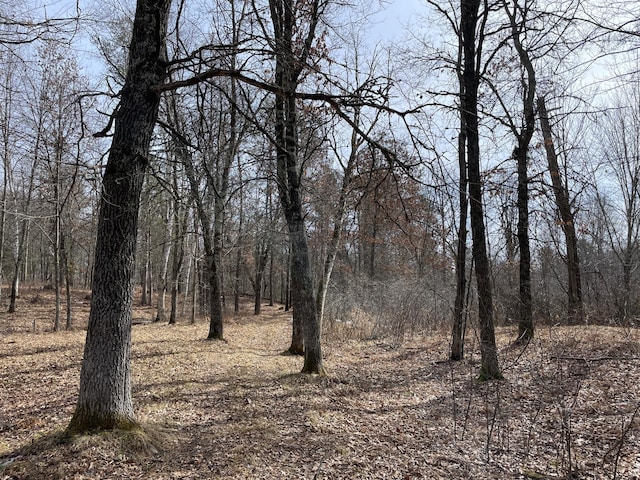 view of landscape featuring a wooded view