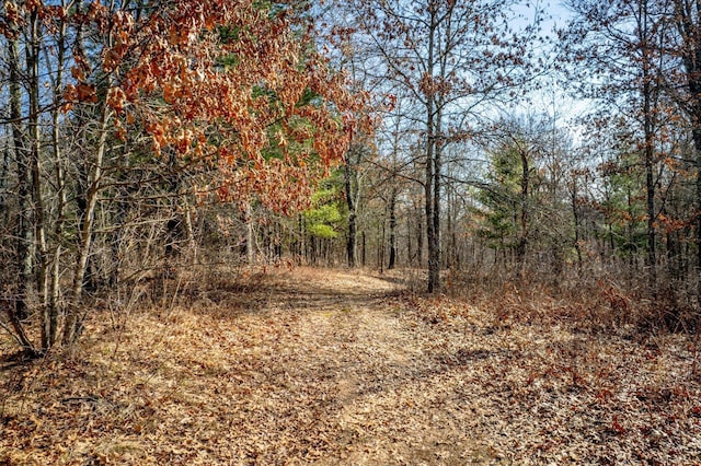 view of nature