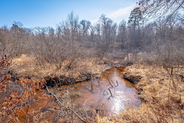 view of nature featuring a view of trees