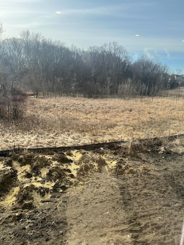 view of nature with a rural view