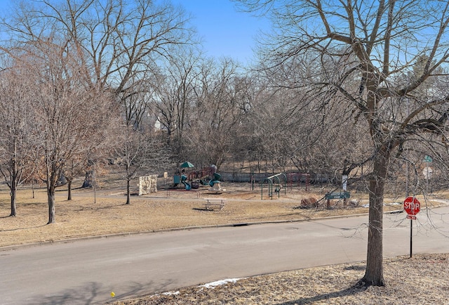 view of yard with playground community