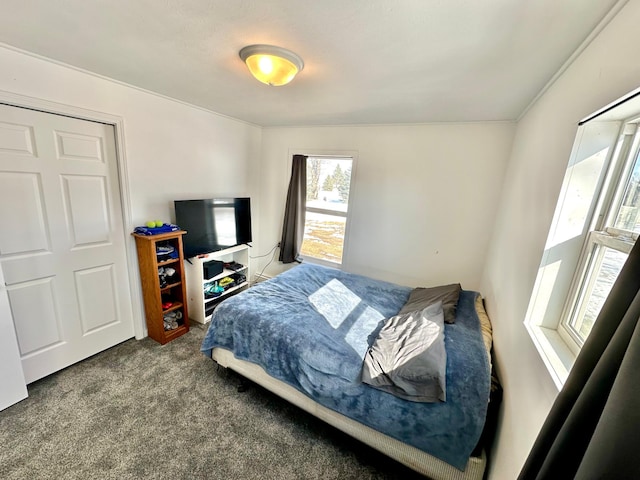 bedroom with carpet floors