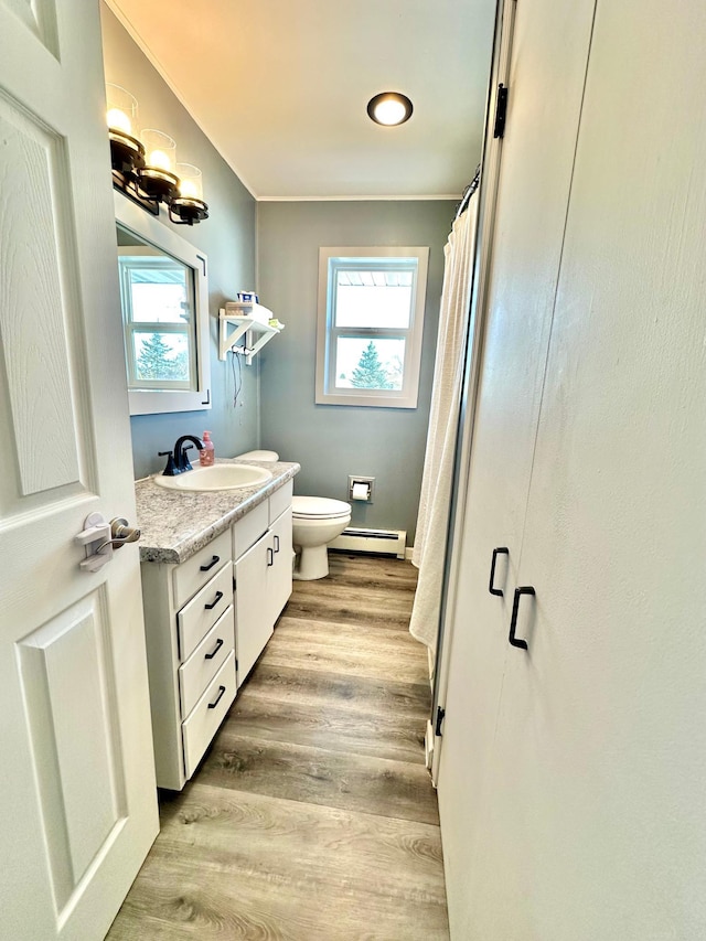 bathroom with a healthy amount of sunlight, toilet, wood finished floors, and vanity