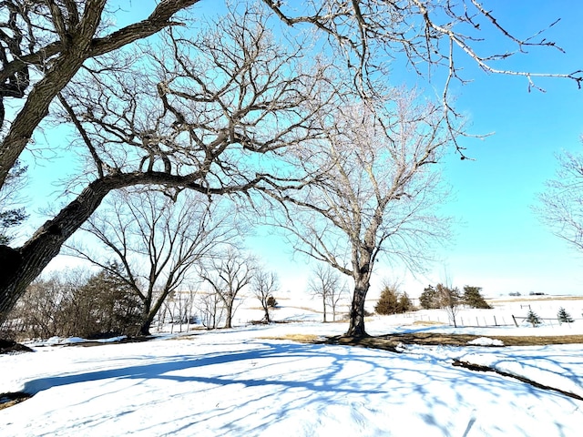 view of snowy yard